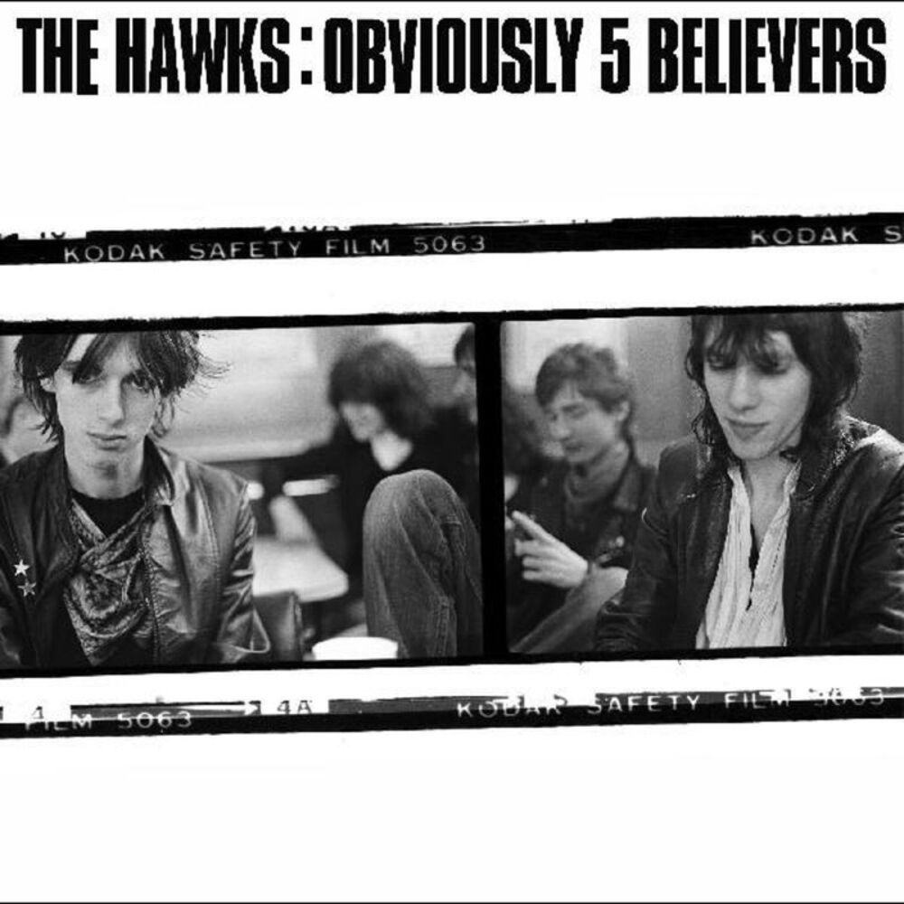 The Hawks - Obviously 5 Believe  CD